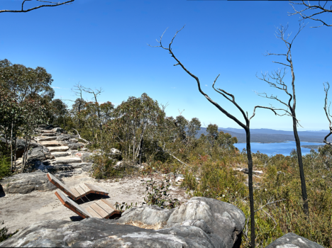 healthcarescenter | Photograph the Diverse Ecosystems: Capture the park’s diverse ecosystems