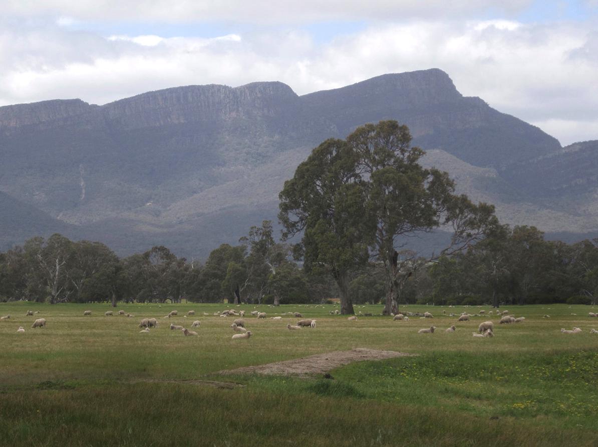 Embrace the Diversity of the Park's Natural Habitats