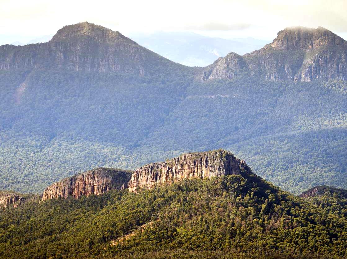 Explore the Park's Ecological Diversity Through Photography