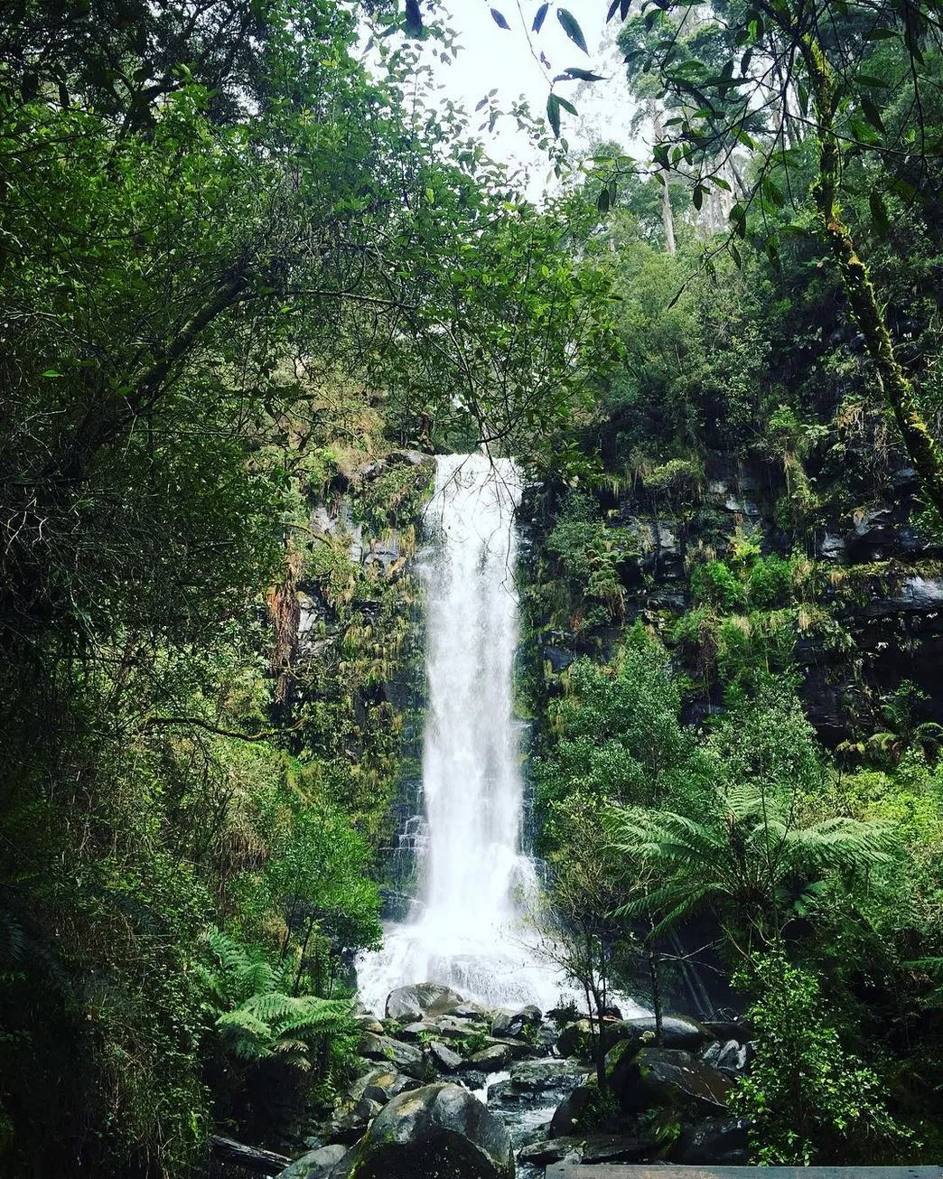 healthcarescenter | Best Great Ocean Road Overnight Stops